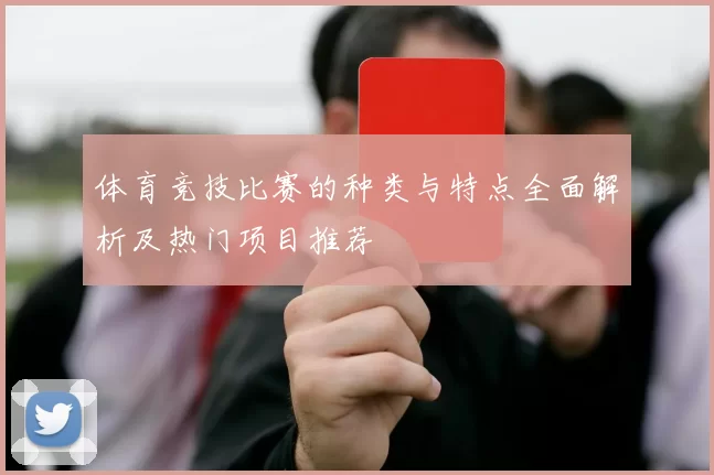 体育竞技比赛的种类与特点全面解析及热门项目推荐